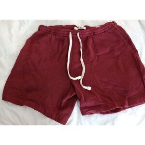 New PacSun Mens Size L Burgundy Volley pocket Shorts With Drawstring